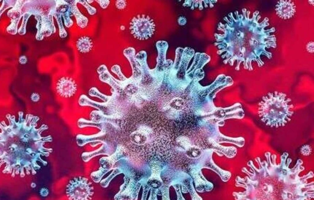 Global Health Authorities